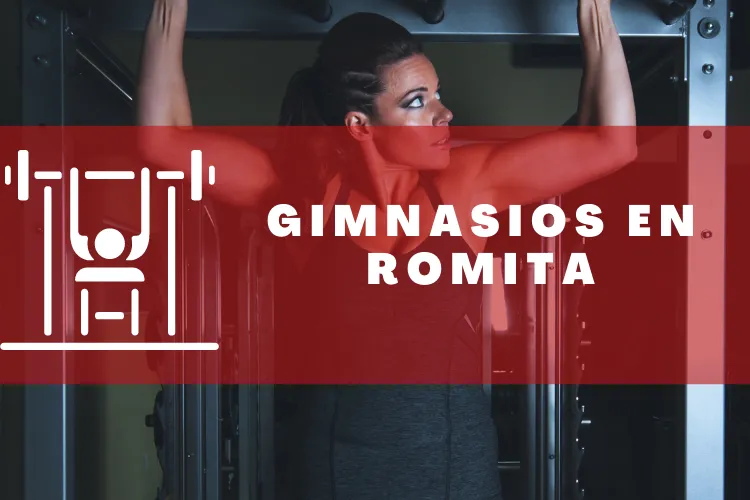 Gimnasios en {municipio(municipio}