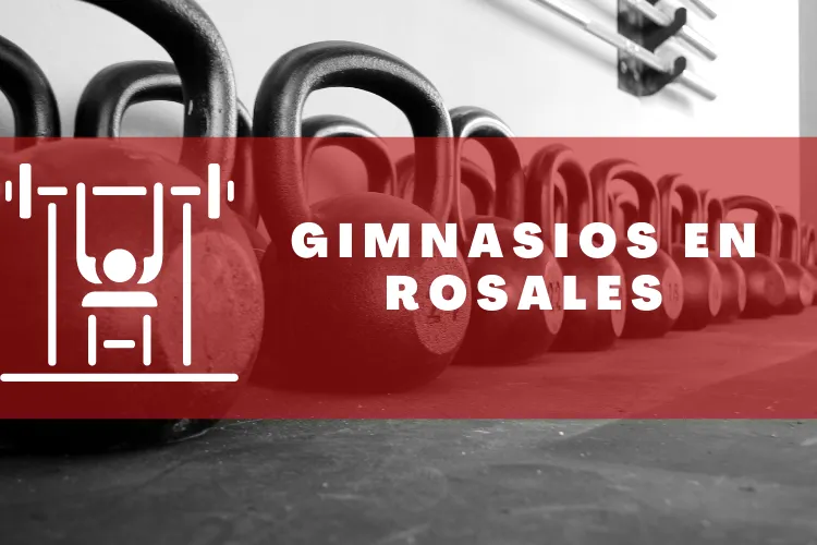 Gimnasios en {municipio(municipio}