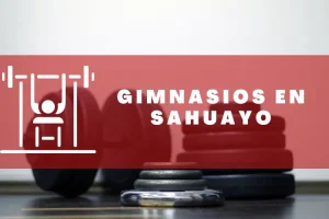 Gimnasios en Sahuayo