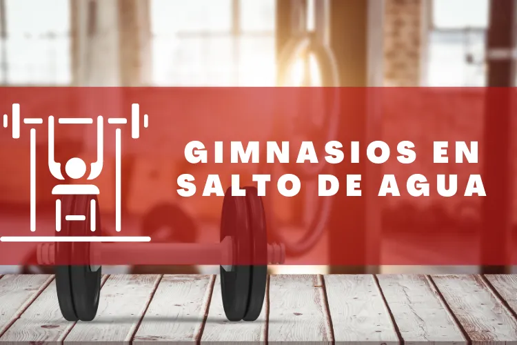 Gimnasios en {municipio(municipio}
