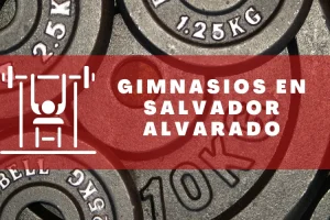 Gimnasios en Salvador Alvarado