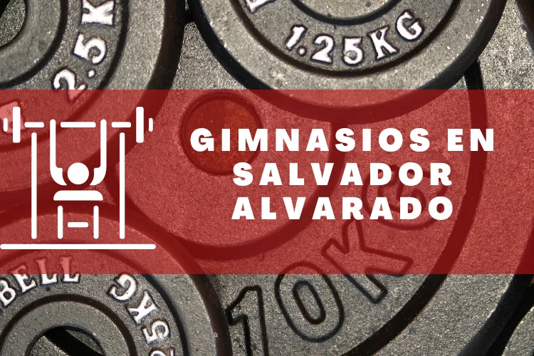 Gimnasios en {municipio(municipio}