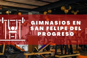 Gimnasios en San Felipe del Progreso