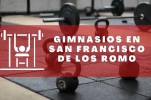 Gimnasios en San Francisco de los Romo