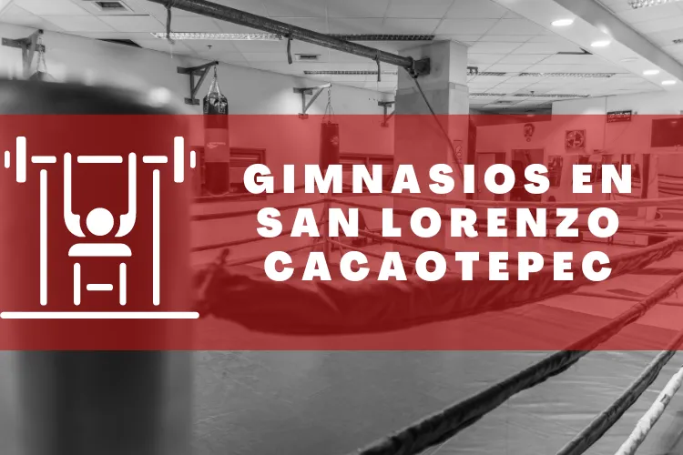 Gimnasios en {municipio(municipio}