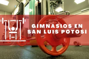 Gimnasios en San Luis Potosí