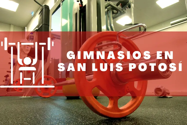 Gimnasios en {municipio(municipio}