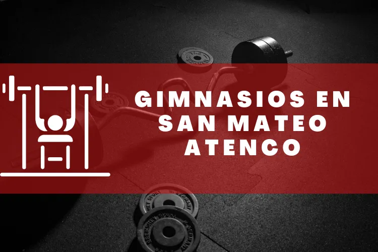 Gimnasios en {municipio(municipio}