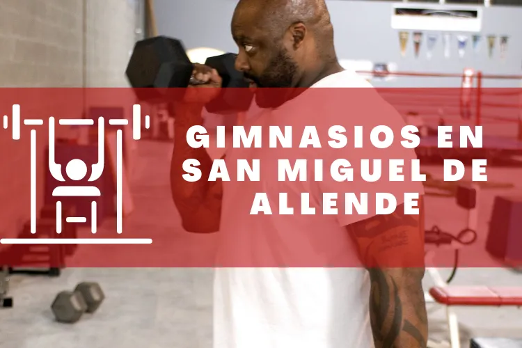 Gimnasios en {municipio(municipio}
