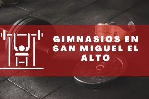 Gimnasios en San Miguel el Alto