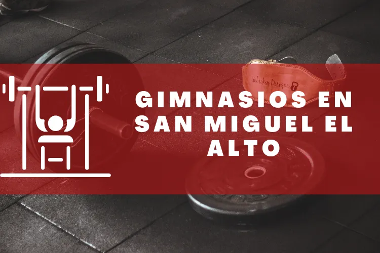 Gimnasios en {municipio(municipio}