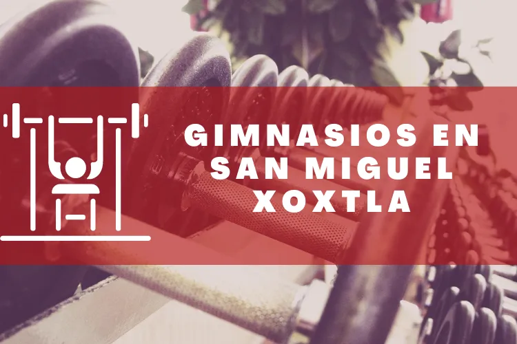 Gimnasios en {municipio(municipio}