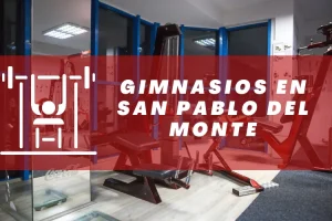 Gimnasios en San Pablo del Monte