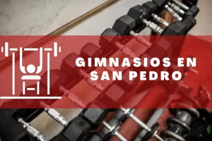 Gimnasios en San Pedro