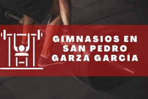 Gimnasios en San Pedro Garza García