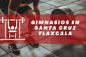 Gimnasios en Santa Cruz Tlaxcala