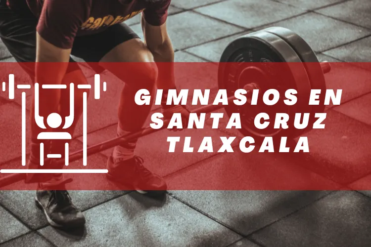 Gimnasios en {municipio(municipio}