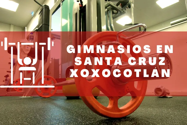Gimnasios en {municipio(municipio}