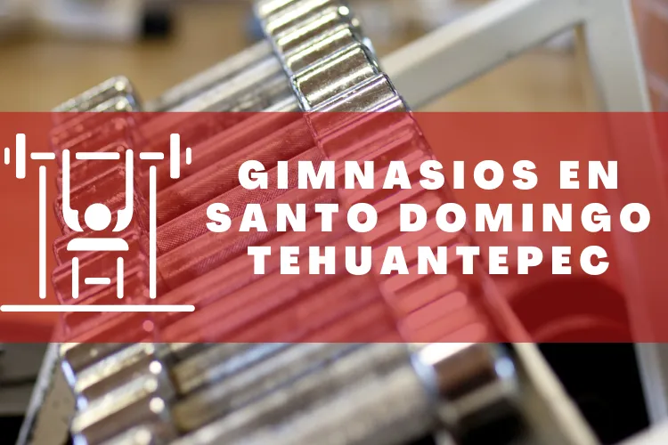 Gimnasios en {municipio(municipio}