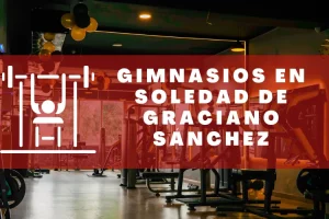 Gimnasios en Soledad de Graciano Sánchez