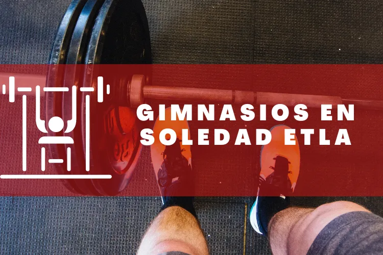 Gimnasios en {municipio(municipio}