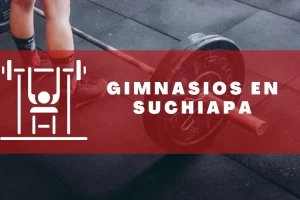 Gimnasios en Suchiapa