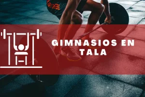 Gimnasios en Tala