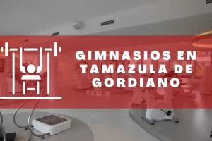 Gimnasios en Tamazula de Gordiano