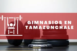 Gimnasios en Tamazunchale