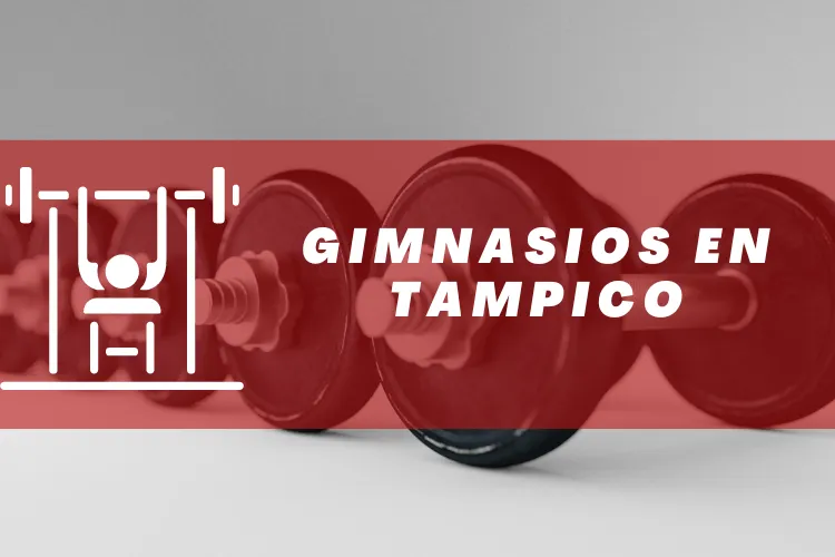 Gimnasios en {municipio(municipio}