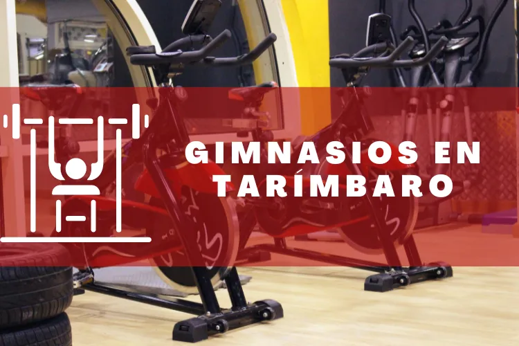 Gimnasios en {municipio(municipio}