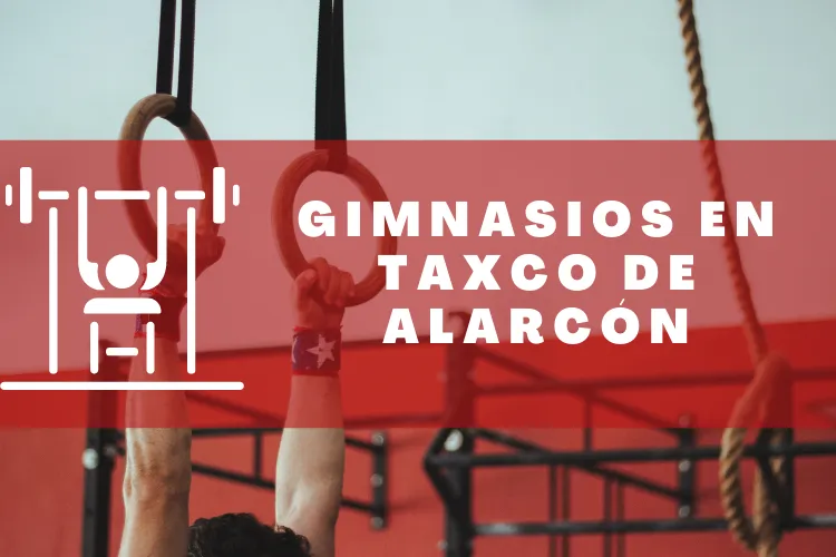 Gimnasios en {municipio(municipio}