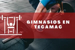 Gimnasios en Tecámac