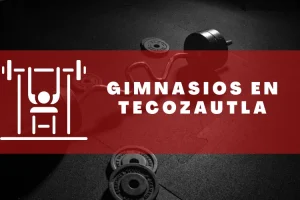 Gimnasios en Tecozautla