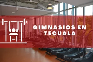 Gimnasios en Tecuala
