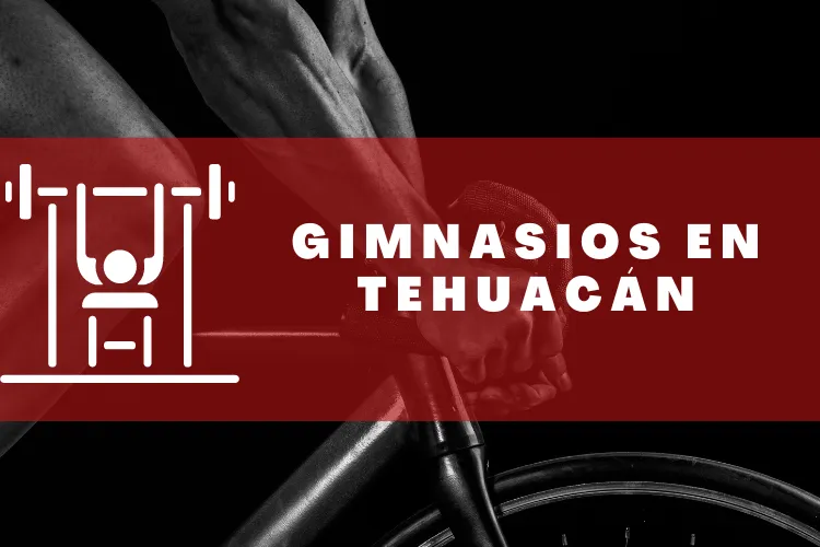 Gimnasios en {municipio(municipio}