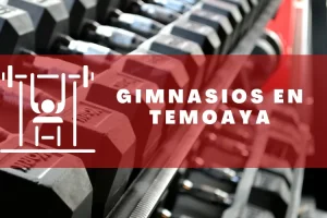 Gimnasios en Temoaya