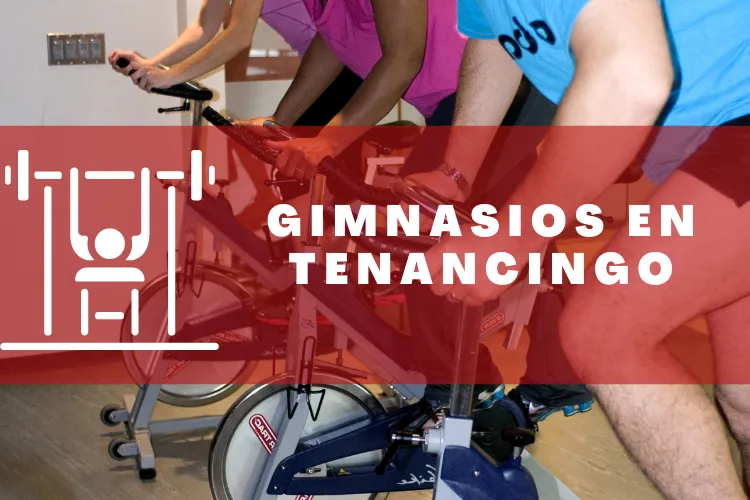 Gimnasios en {municipio(municipio}