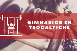 Gimnasios en Teocaltiche