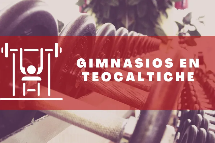 Gimnasios en {municipio(municipio}