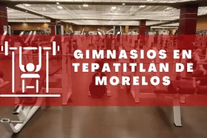 Gimnasios en Tepatitlán de Morelos