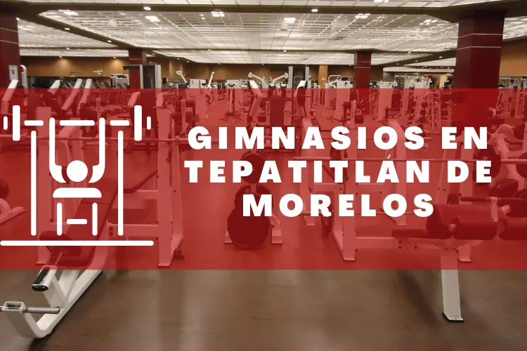 Gimnasios en {municipio(municipio}