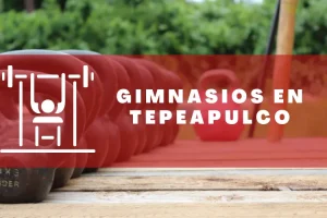 Gimnasios en Tepeapulco