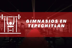 Gimnasios en Tepechitlán