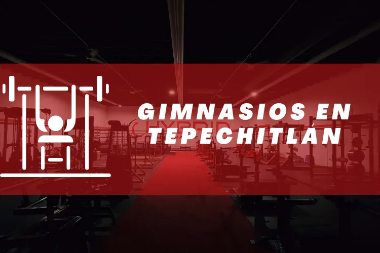 Gimnasios en {municipio(municipio}
