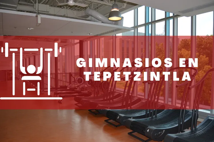 Gimnasios en {municipio(municipio}