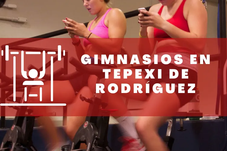 Gimnasios en {municipio(municipio}