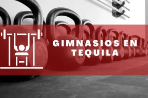 Gimnasios en Tequila