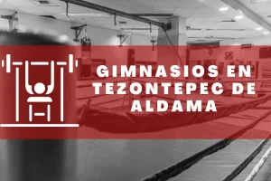 Gimnasios en Tezontepec de Aldama