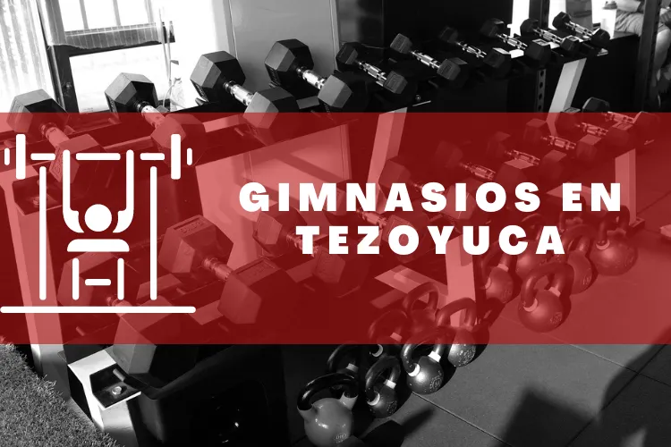 Gimnasios en {municipio(municipio}